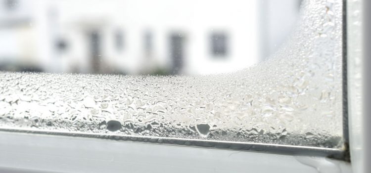 Moisture on Windows